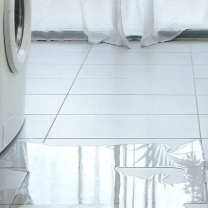 Appliance Leak Cleanup in Genesee County, MI