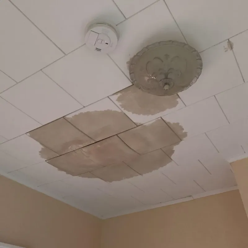 Ceiling Water Damage Repair in Genesee County, MI