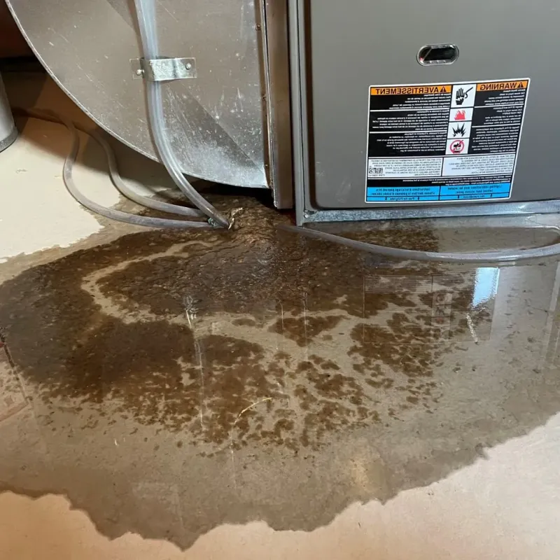 Pipe Burst and Leak Restoration in Genesee County, MI