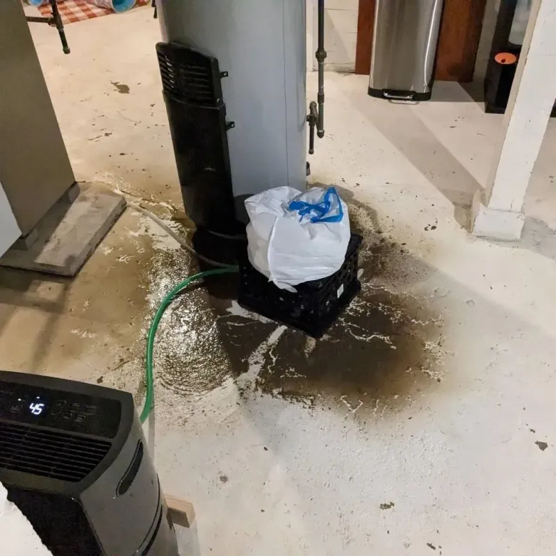 Sewage Backup Cleanup Service in Genesee County, MI